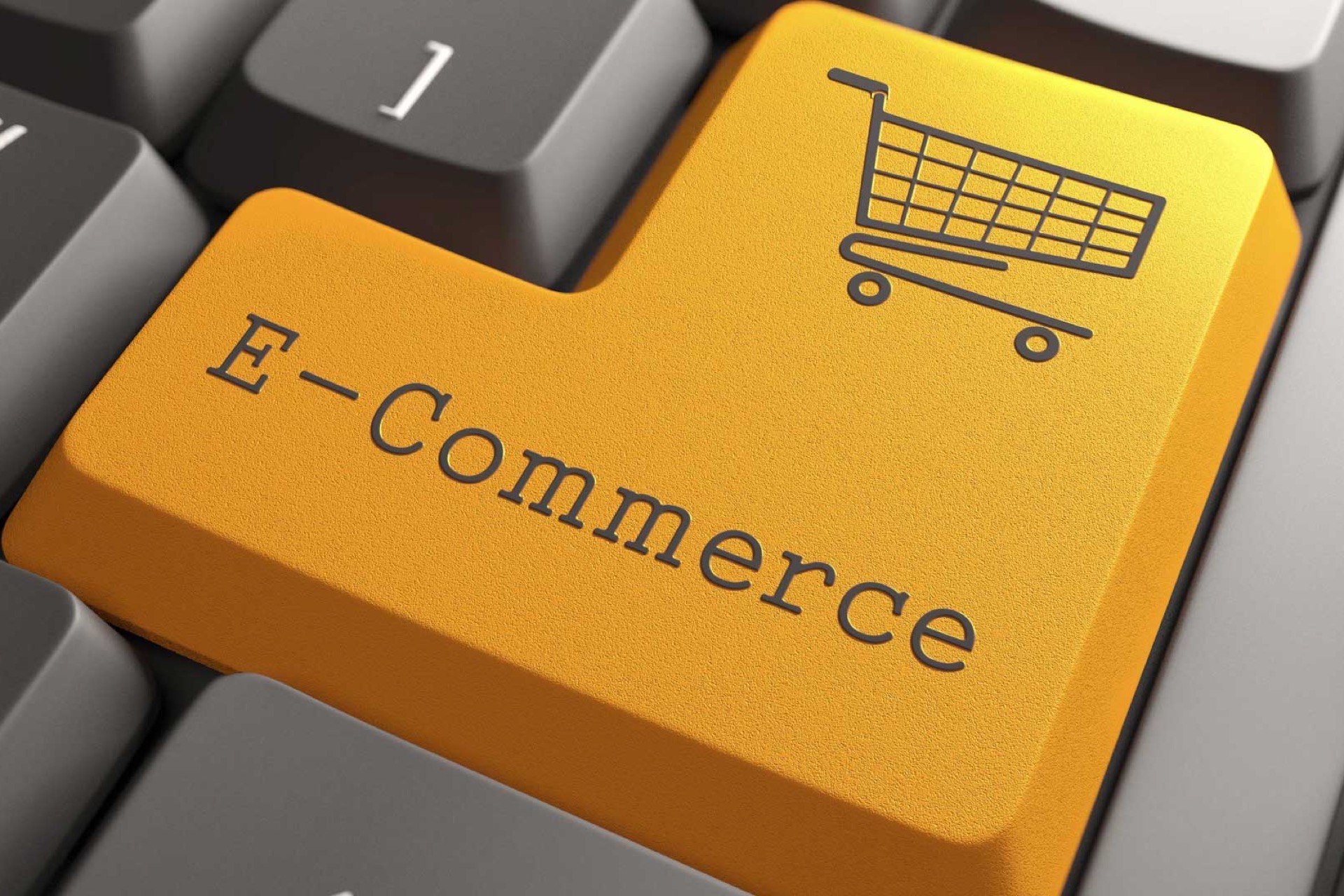 Realizzazione siti e-commerce ad Acqui Terme con Lycnos